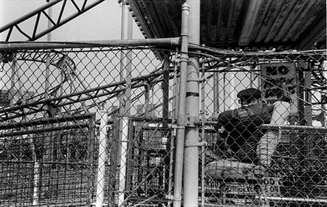 ht harvey stein jumbo jet 2 nt 120118 Coney Island 40 Years