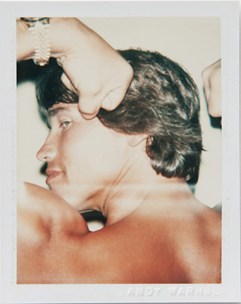 ht warhol arnold schwarzenegger ll 110220 vblog Andy Warhols Polaroid Portraits