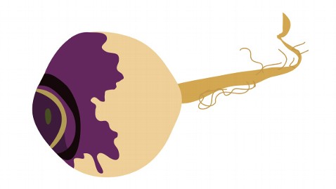 Kate Middleton Baby Bump royal baby bump size rutabaga 640x360 wblog The Royal Bump, Day by Day