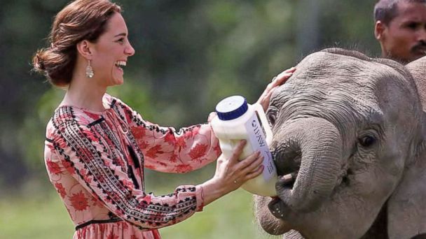 New ESl lesson plans - Prince William, Kate Go on Safari in India