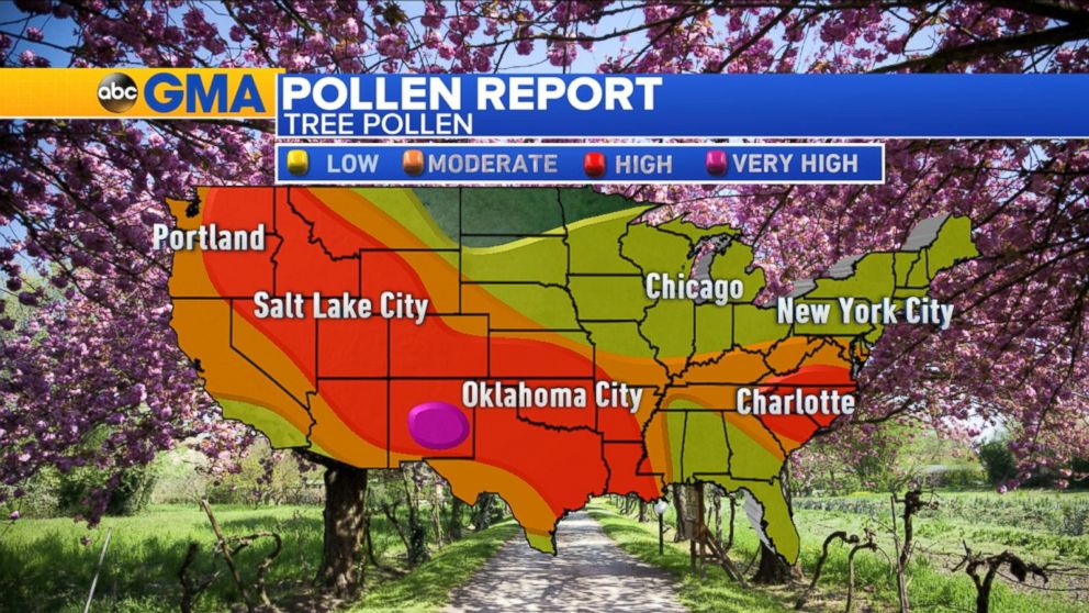 High Pollen Levels in the West, Plains and MidAtlantic Video ABC News