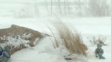 Good Morning America: GMA 12/22: White Christmas Could Cause Holiday Tribulations for Travlers