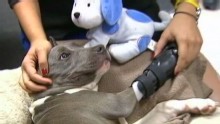 Good Morning America: GMA 6/2: 'Little Debbie' Gets Limb Replacement