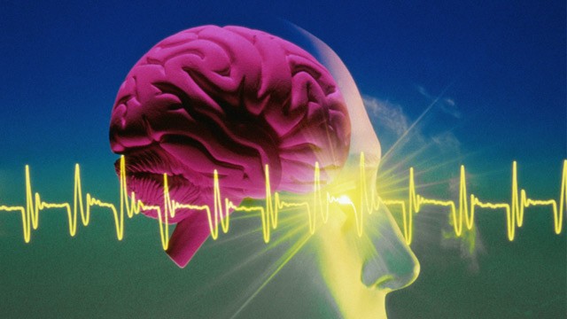 Eeg Test Results