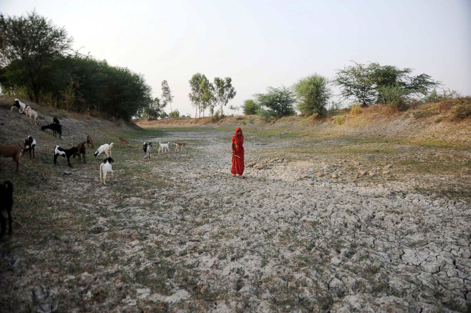 picture-a-severe-heat-wave-sets-new-records-in-india-abc-news