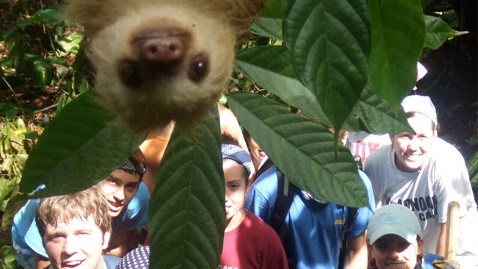 Nightline Daily Line, March 30: Attacked by Lion, Saved by Bear cn sloth photobomb ll 120330 wblog Nightline Daily Line, March 30: Attacked by Lion, Saved by Bear