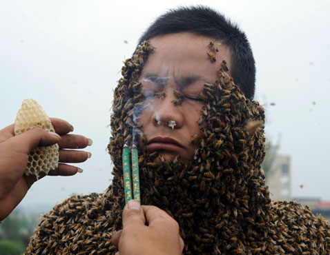 gty bees head nt 120419 wblog Today in Pictures: A Horse Kisses a Dog, Vertical Fashion Show, and Bees!