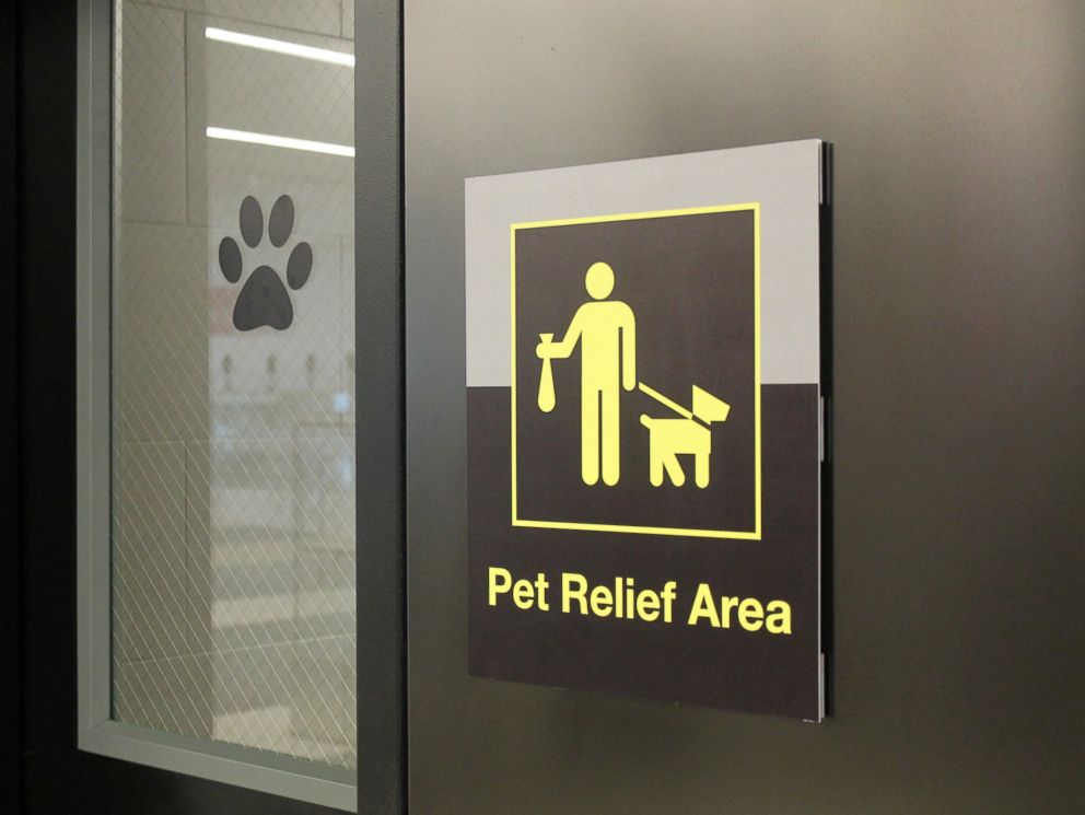 Dogs Get A Lounge Of Their Own At Pet-Friendly Airports - ABC News