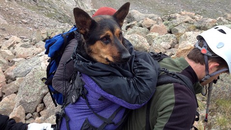 ht missy dog rescue tk 120816 wblog Man Faces Animal Cruelty Charge After Abandoning Dog on Colorado Mountain