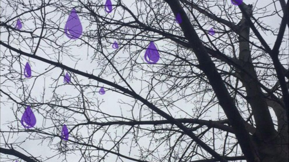 Watch:  Snapchat adds Purple Rain Filter