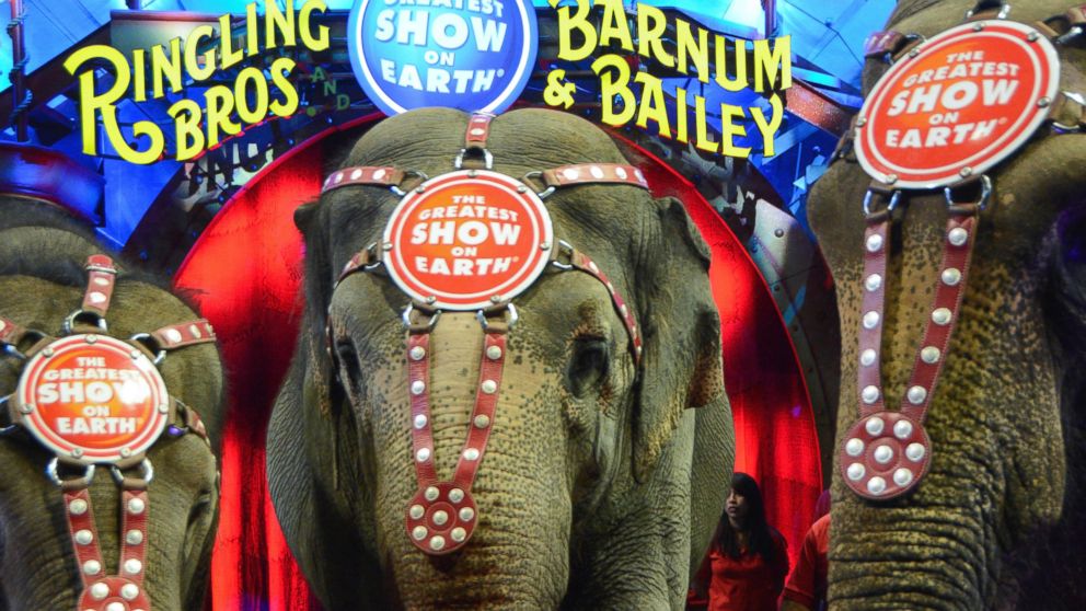 Ringling Bros. Announces Elephants are 'Stepping Down'