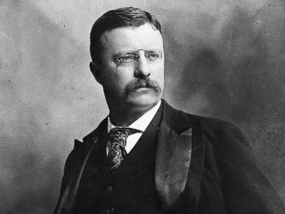 Theodore Roosevelt [1898]