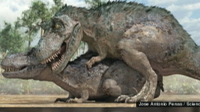 Dinosaur Sex Video 16