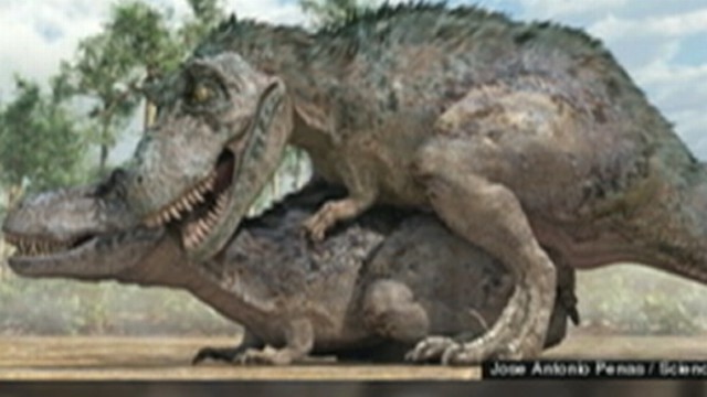 Dinosaur Sex Video Abc NewsSexiezPix Web Porn