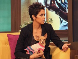 Halle Berry Falls In Love With Host's Dog On The Set Of Univision's ...