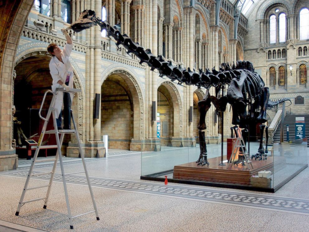 The Biggest Controversy in England Right Now Is Over a Fake Dinosaur ...