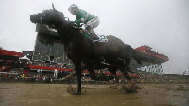 Exaggerator Wins the Preakness; Nyquist Finishes Third