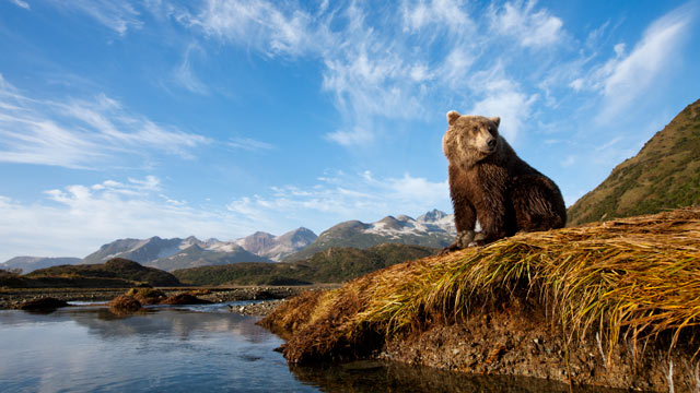 Alaska: Top visitor attractions, sights, things to do and others to ...