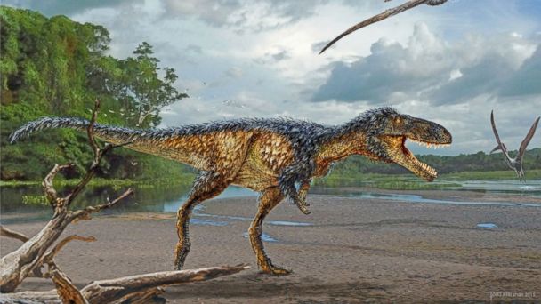 New Tyrannosaur Species Debuts at the Smithsonian | abc7.com