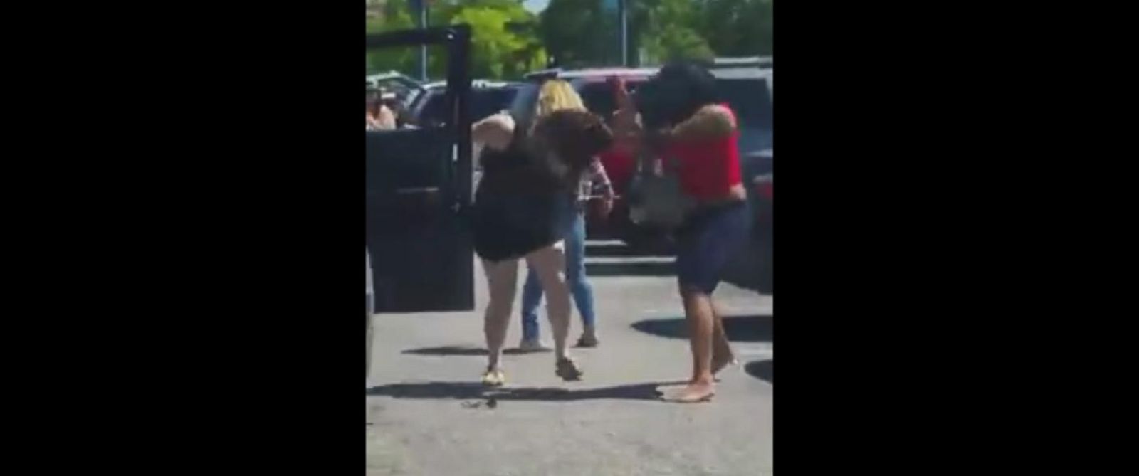 Fists Fly Over Parking Spot at the Houston Zoo - ABC News